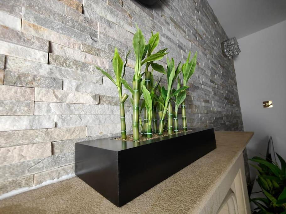 Tyburn Home, Birmingham With Free Parking Εξωτερικό φωτογραφία